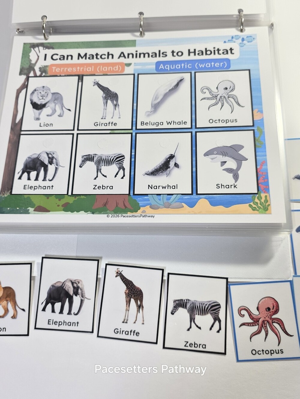 Pacesetters Preschool Kindergarten Readiness Learning Binder, For Ages 3-5, NEW - Picture 1 of 17